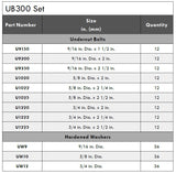 Posi Lock PTUB300 Motor Alignment Undercut Bolt Set w/Case